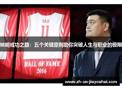 姚明成功之路:五个关键原则助你突破人生与职业的极限 姚明成功之路:五个关键原则助你突破人生与职业的极限